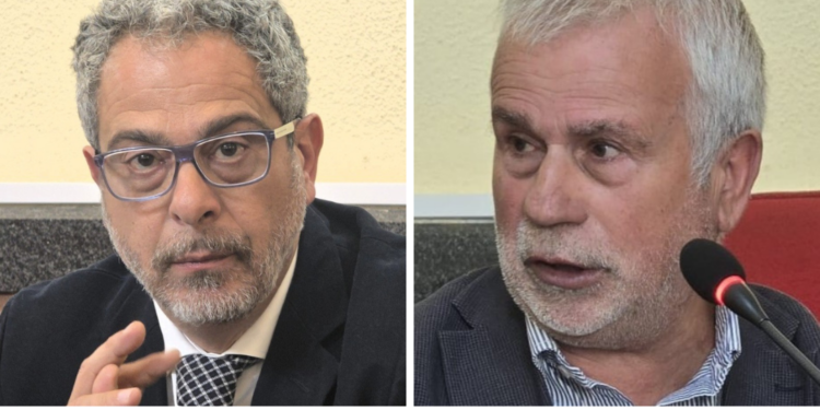 Vibo. Pini di piazza Salvemini, l’amministrazione: «Il Tar certifica la correttezza dell’operato»