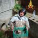 Intervento dei Vigili del fuoco a Motta Filocastro (Limbadi): salvati sei cuccioli di husky – Foto