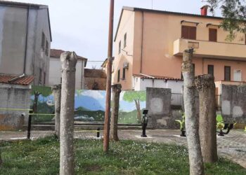 Zungri, l’opposizione insorge contro il taglio degli alberi storici – Foto