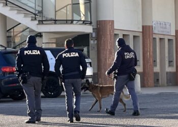 Calabria, cane azzanna bambina in strada: necessario un intervento chirurgico