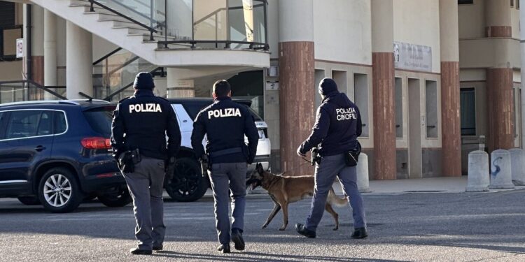 Calabria, cane azzanna bambina in strada: necessario un intervento chirurgico