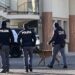 Calabria, cane azzanna bambina in strada: necessario un intervento chirurgico