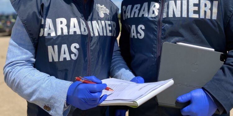 I carabinieri del Nas in azione