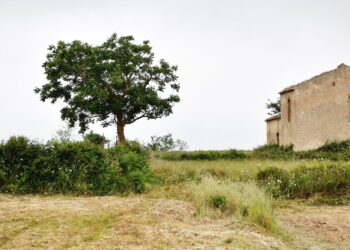 Legambiente Ricadi: in programma un incontro sull’architettura rurale in Calabria