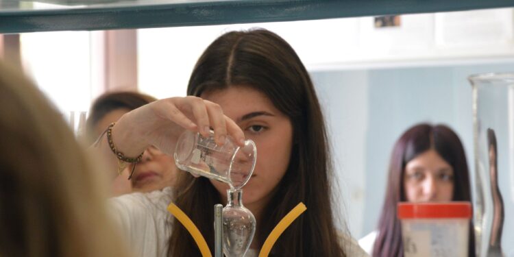 Tutto pronto per il Festival delle Scienze 2025: il liceo “Berto” di Vibo presenta “Systemia”