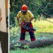 Azienda Calabria Verde. La rabbia di Mammoliti (Pd): «Operai forestali trattati come numeri»