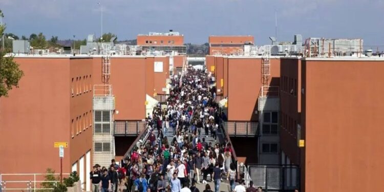 Una immagine dell'Università della Calabria (Unical)