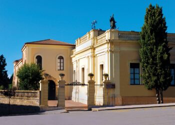 Camera di commercio Catanzaro-Crotone-Vibo, nuovo protocollo per lo sviluppo del territorio