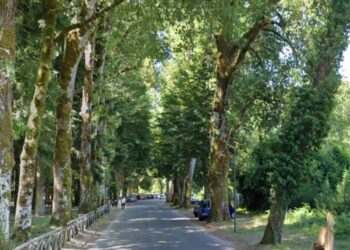 Viale Certosa a Serra San Bruno