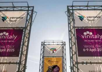 Aspettando la Doc Costa degli Dei: al Vinitaly per raccontare la nascente denominazione del Vibonese