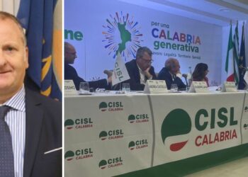 Calabria in emergenza, Bevacqua (Pd): «Non garantiti i diritti fondamentali dei cittadini»