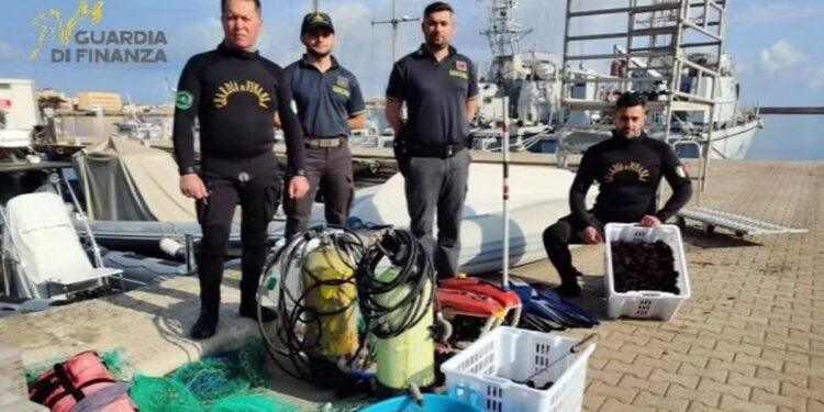 I militari della Guardia di finanza di Vibo Valentia impegnati nell'operazione contro il bracconaggio a Capo Vaticano