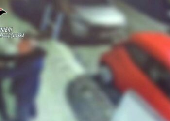 Le immagini della videosorveglianza reperite dai carabinieri