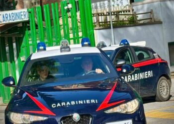 I carabinieri di Vibo Valentia in azione