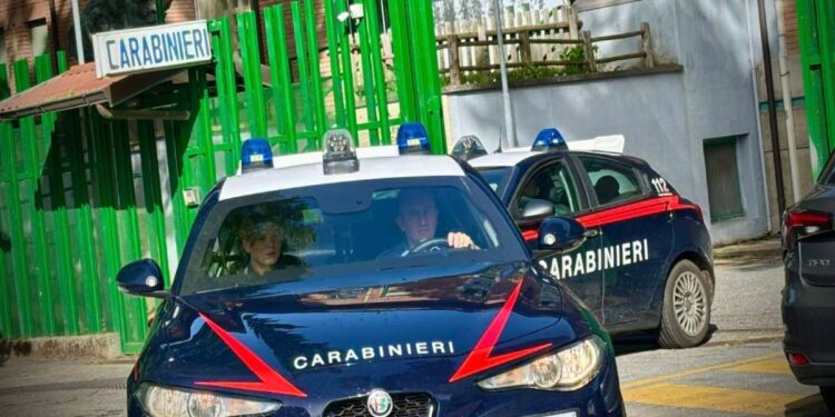 I carabinieri di Vibo Valentia in azione