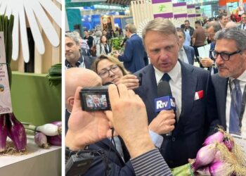 La Cipolla Rossa di Tropea Calabria IGP conquista la grande distribuzione: protagonista a Macfrut 2025