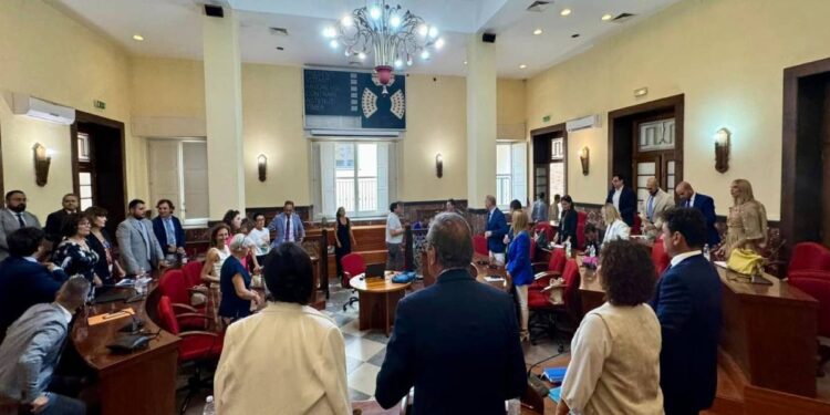 Una seduta del consiglio comunale di Vibo Valentia