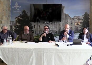Sanità calabrese, quattro ospedali montani uniscono le forze: la proposta del comitato “La cura”