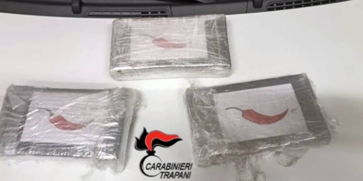 La droga sequestrata dall'Arma ai due calabresi in trasferta a Trapani