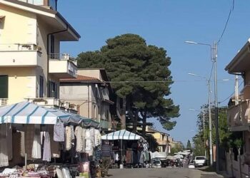 La Fiera di Caria di Drapia
