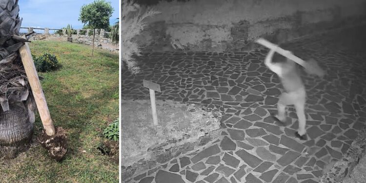 Capo Vaticano, atti vandalici contro il “Giardino degli Dei”: responsabili da identificare