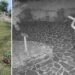 Capo Vaticano, atti vandalici contro il “Giardino degli Dei”: responsabili da identificare