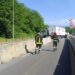 Incidente nel tratto vibonese dell’A/2, scontro tra un autotreno e un minibus della Polizia: sei agenti feriti
