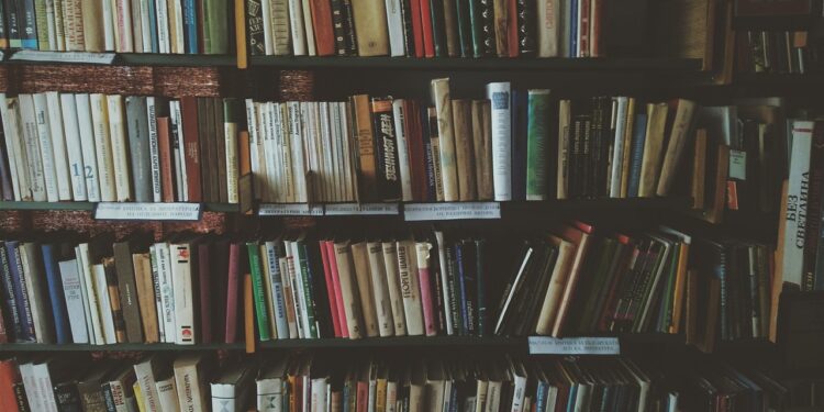 Vibo, il Castello celebra “Il Maggio dei Libri” con un doppio appuntamento