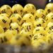 L'estrazione dei numeri del Lotto
