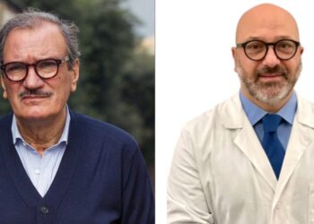Vibo. Dimissioni Mangialavori, Romeo: «Disastro annunciato, prova delle enormi difficoltà»