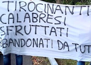 Tirocinanti Calabria, perentorio il gruppo del Pd: «La Regione si faccia carico e stabilizzi i lavoratori»