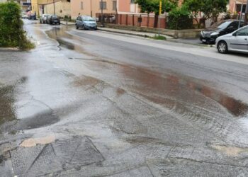 L’acqua invade viale delle Rose a Vibo Valentia a causa di una grossa perdita – VIDEO