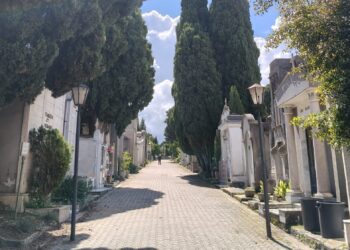 Rubano pure i fiori dalle tombe. Al cimitero di Vibo neanche i defunti riposano in pace