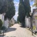 Rubano pure i fiori dalle tombe. Al cimitero di Vibo neanche i defunti riposano in pace