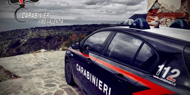 Spilinga, uomo sorpreso a incendiare sterpaglie: denunciato all’autorità giudiziaria
