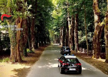 Illeciti urbanistici nel Vibonese: denunciate tre persone e sequestrati due manufatti