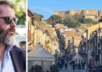 Vibo. Cinghiali in centro e randagismo: Chiappalone (Europa Verde) chiede interventi urgenti