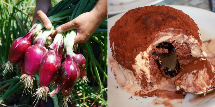 Pizzo, seminario sull’eccellenza agroalimentare: Cipolla Rossa di Tropea e Tartufo