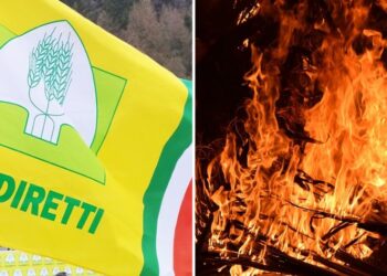 Vazzano. Terreni della famiglia Talarico incendiati, Coldiretti: «Vicinanza umana e istituzionale»