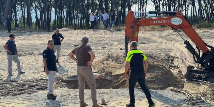 Tutela del mare, l’assessore regionale Calabrese parla di «dati molto incoraggianti»