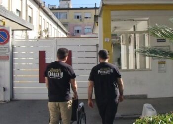 Ospedale Jazzolino di Vibo. Donate due sedie a rotelle al reparto di Cardiologia