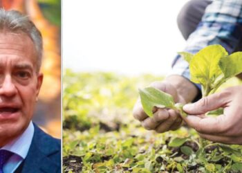 Zone montane in Calabria, dalla Regione milioni di euro per sostenere gli agricoltori in difficoltà