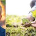 Zone montane in Calabria, dalla Regione milioni di euro per sostenere gli agricoltori in difficoltà