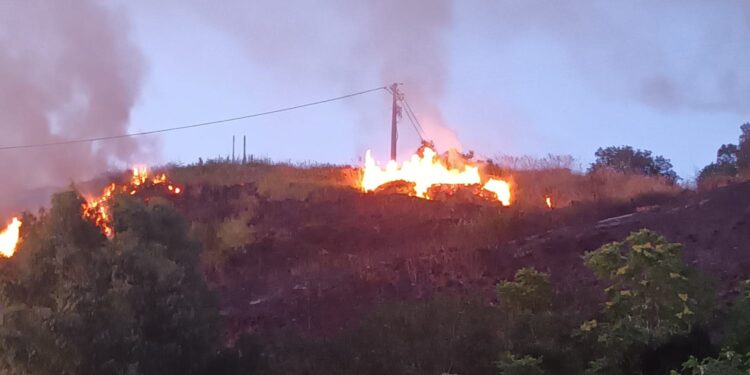 Ampio incendio alle prime luci del giorno in zona Sant’Angelo di Drapia: distrutti diversi ettari di terreno – Video