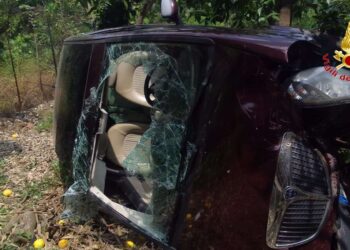 Finisce fuori strada e precipita con l’auto in un limoneto nel Vibonese: salvata dai Vigili del Fuoco