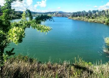 Lago Angitola, dubbi sulla qualità dell’acqua: le risposte delle istituzioni