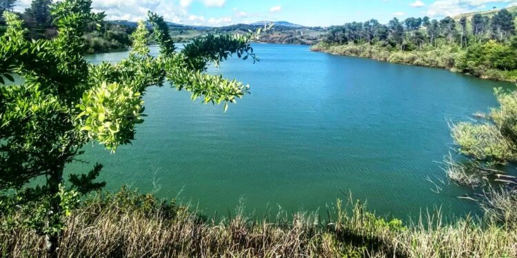 Lago Angitola, dubbi sulla qualità dell’acqua: le risposte delle istituzioni