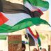 A Tropea in programma un presidio pro Palestina: appuntamento in Piazza Vittorio veneto