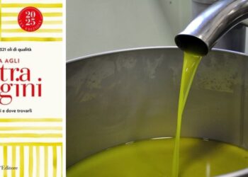 Guida agli extravergini Slow Food 2025, a Vibo Valentia la presentazione regionale