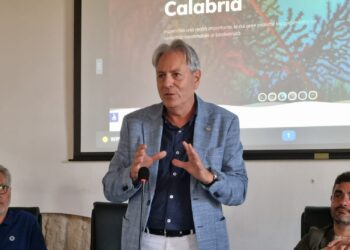 Parchi Marini Calabria, avviato l’iter per i Piani strategici. Greco: «Ci sono voluti 17 anni»